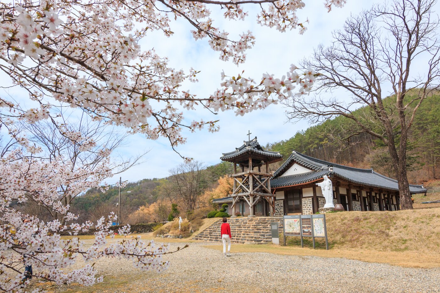 본문 이미지 - 되재성당에 피어난 벚꽃ⓒ 뉴스1