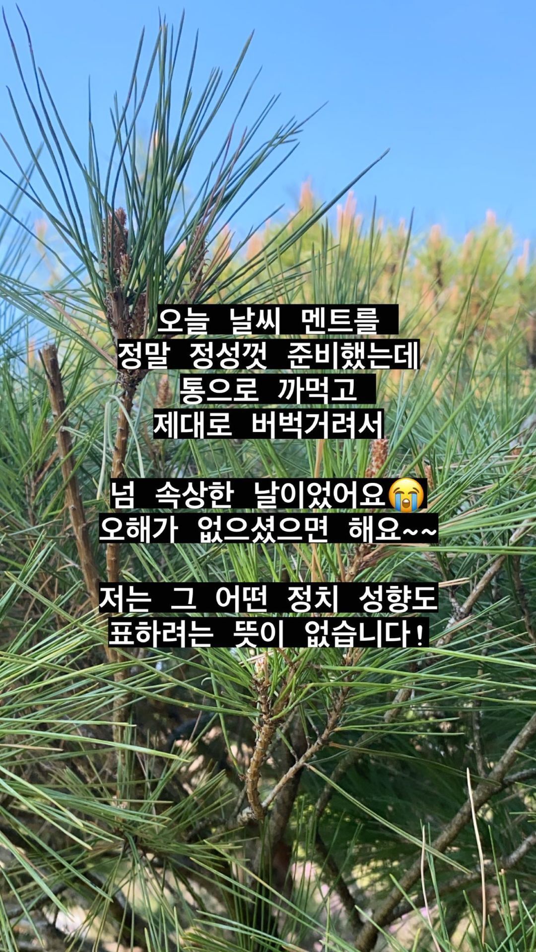 본문 이미지 - 박하명 기상캐스터 SNS 갈무리 ⓒ 뉴스1