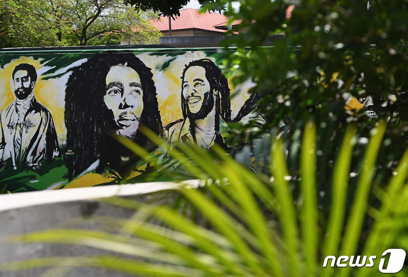 본문 이미지 - 레게 전설 밥 말리가 태어나고 자란 자메이카 킹스톤. ⓒ AFP=뉴스1 ⓒ News1 원태성 기자