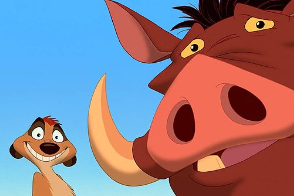 언뜻 보면 라이언킹 '티몬·품바'…'흑멧돼지·몽구스' 커플 화제[영상] - 뉴스1