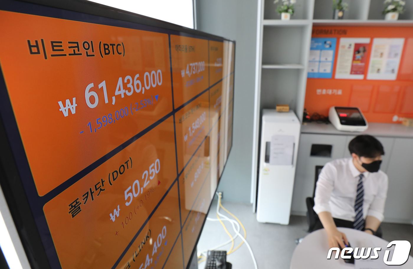 도지코인 폭등하는데 비트코인은 급락 - 뉴스1