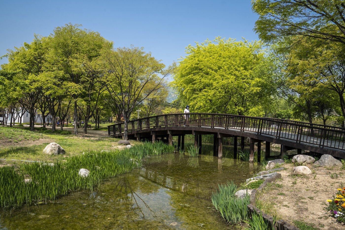 본문 이미지 - 중앙을 지나는 물길 위에 구름다리가 있다. 이 물길이 습지원, 부들원, 수변식물원으로 흘러 들어 간다.