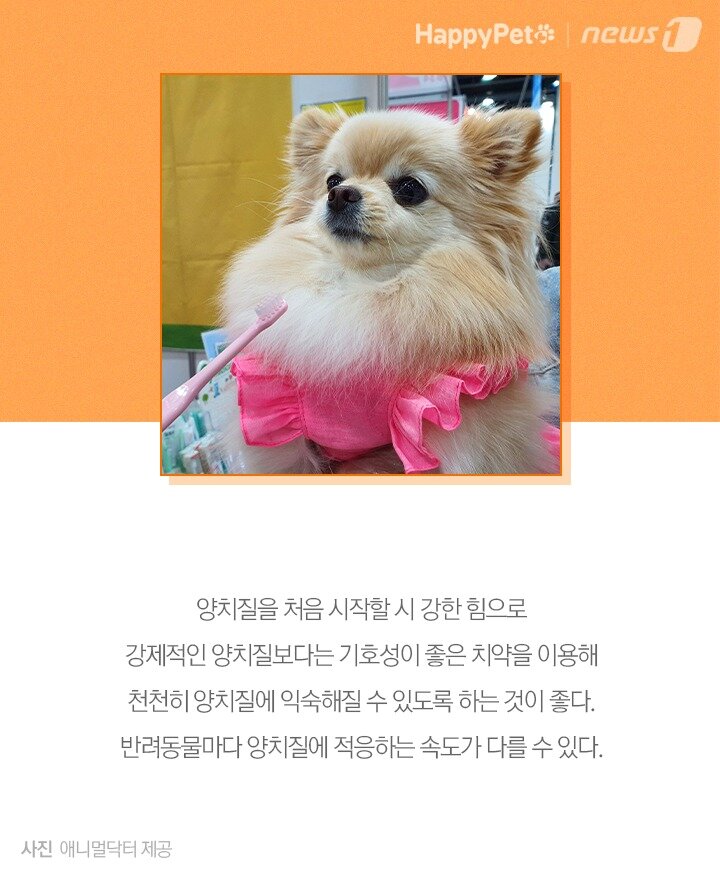 본문 이미지 - ⓒ 뉴스1