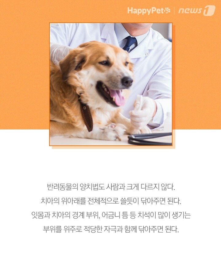 본문 이미지 - ⓒ 뉴스1