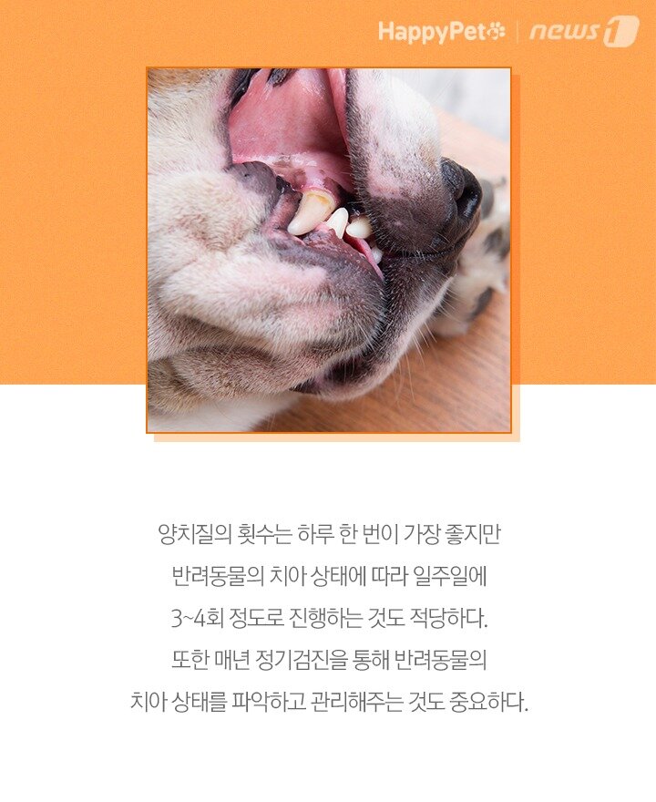 본문 이미지 - ⓒ 뉴스1