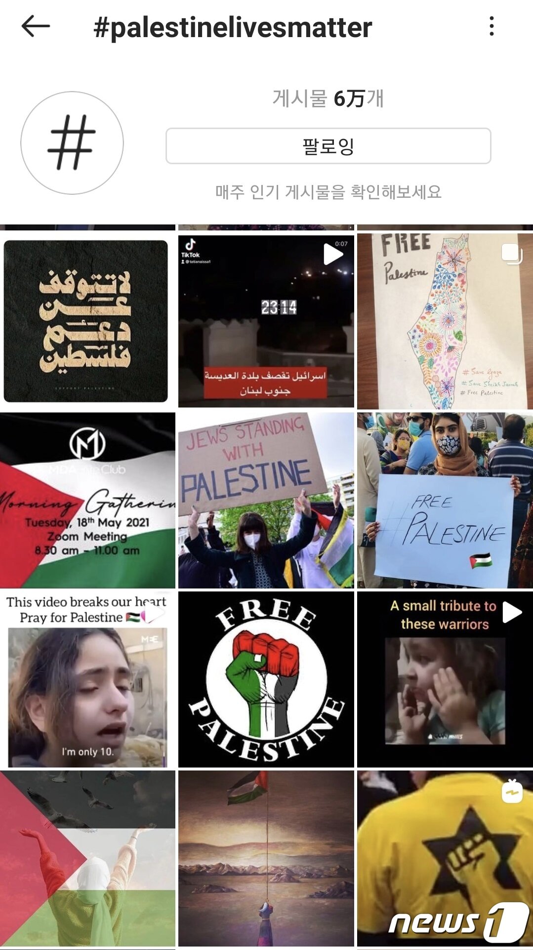 본문 이미지 - #Palestinelivesmatter 해시태그 게시물(인스타그램 갈무리)ⓒ 뉴스1