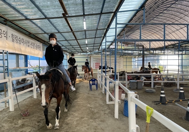 농식품부, 초·중·고교생 '학교 밖 청소년 승마 체험' 지원