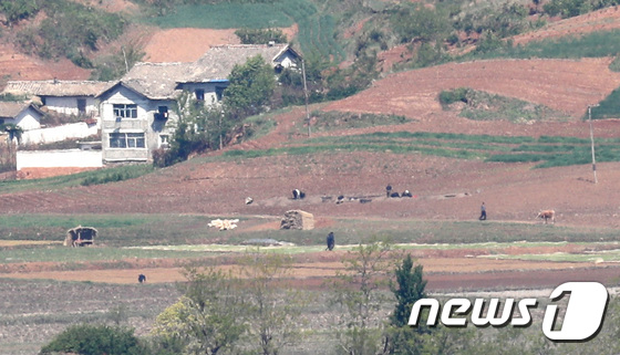 WFP "北 국경봉쇄 때문에 식량원조 등 어려워" - Vimarsana News