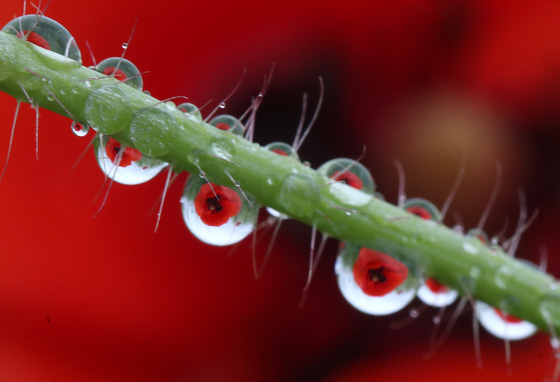 [오늘의 날씨] 대전·충남(27일, 월)…일교차 크고 가끔 빗방울