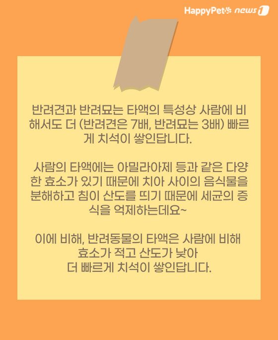 본문 이미지 - ⓒ 뉴스1