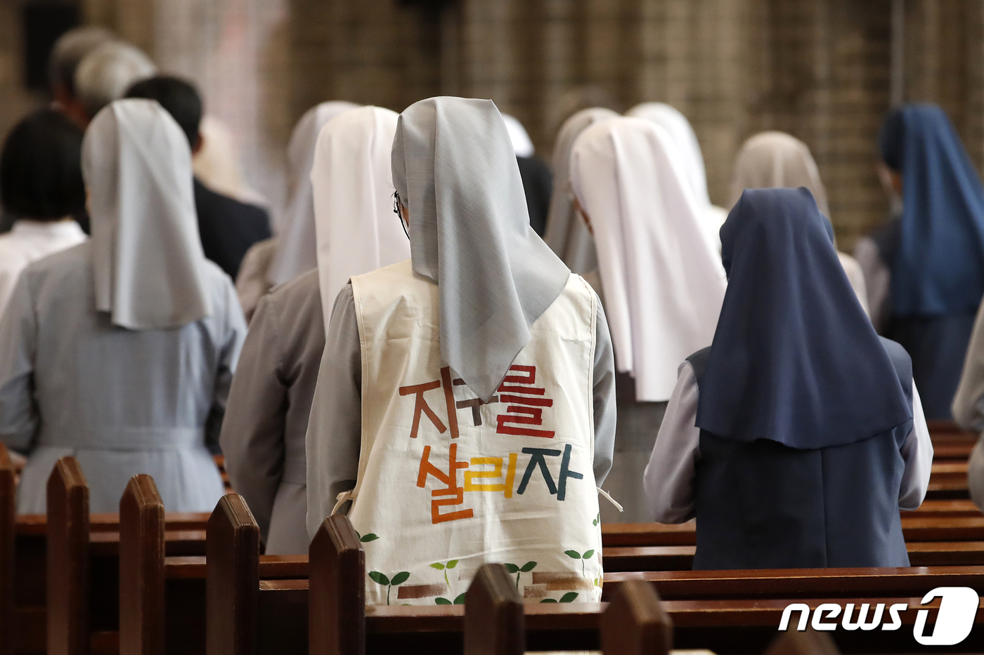 (서울=뉴스1) 이승배 기자 = 24일 오후 서울 중구 명동성당에서 열린 '찬미받으소서 7년 여정 개막 미사'에 참석한 수녀들이 기도하고 있다.'찬미받으소서 7년 여정'은 교황청 …