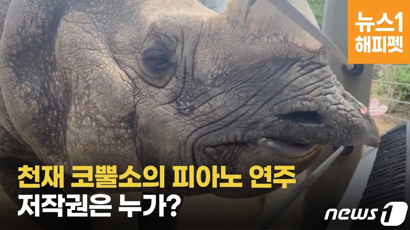 본문 이미지 - ⓒ 뉴스1