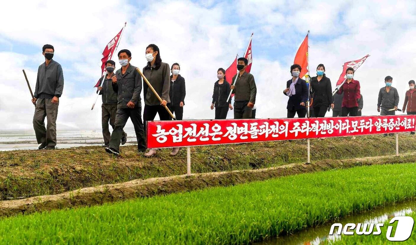 본문 이미지 - (평양 노동신문=뉴스1) = 북한 노동당 기관지 노동신문은 29일 '모내기가 하루 늦어져도 수확고가 떨어진다, 적기를 놓치지 말자'라는 제목의 특집 기사와 관련 사진 여러 장을 실었다.  [국내에서만 사용가능. 재배포 금지. DB 금지. For Use Only in the Republic of Korea. Redistribution Prohibited] rodongphoto@news1.kr