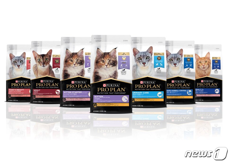 본문 이미지 - 프로플랜 캣. 사진 네슬레 퓨리나 제공 ⓒ 뉴스1