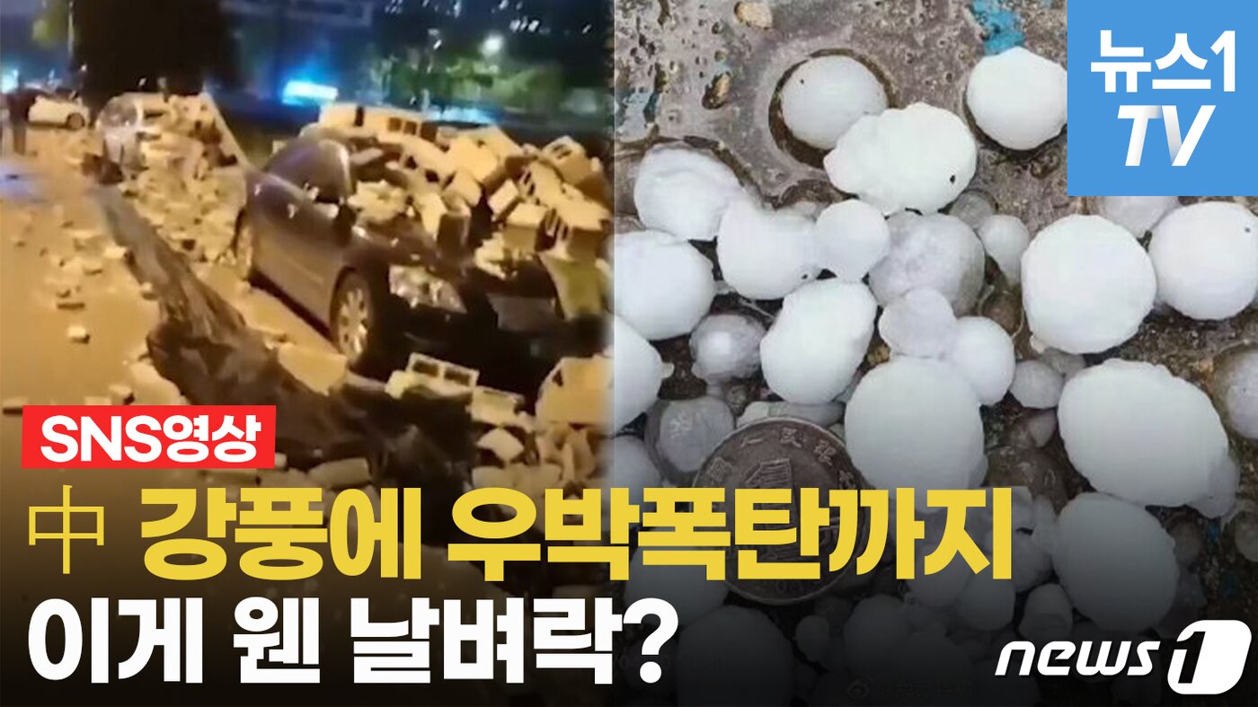 본문 이미지 - ⓒ News1 이승아 기자