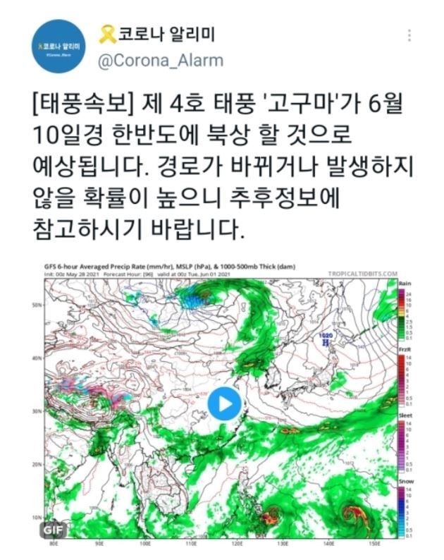 본문 이미지 - 한 트위터 계정에 6월10일 한반도에 4호 태풍이 북상할 것이라는 예측글이 게시돼 있다. ⓒ 뉴스1(트위터 갈무리)