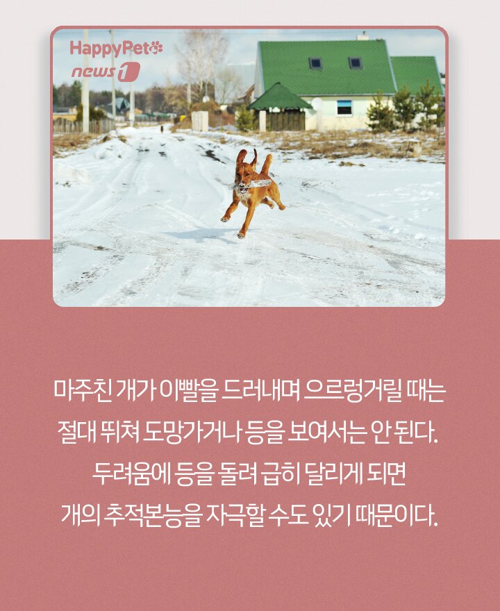 본문 이미지 - ⓒ 뉴스1