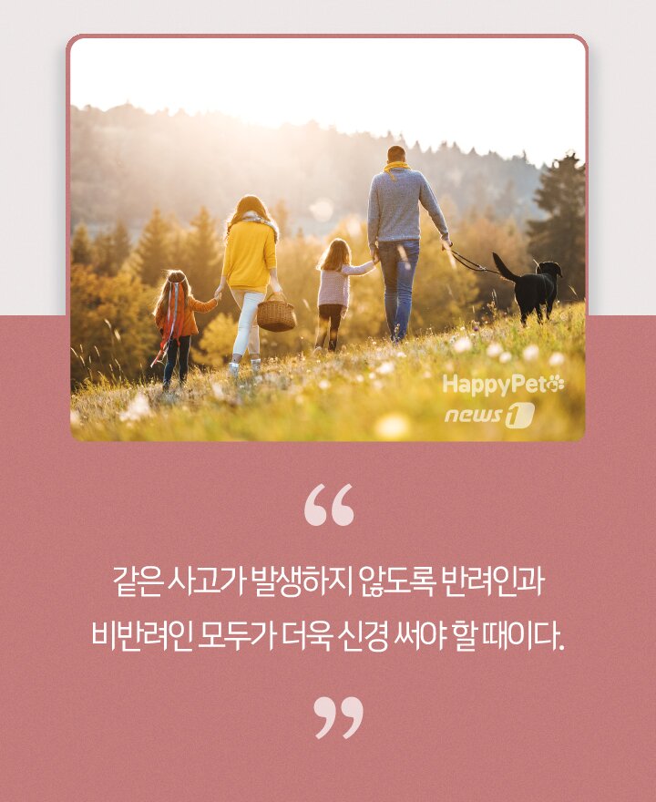 본문 이미지 - ⓒ 뉴스1
