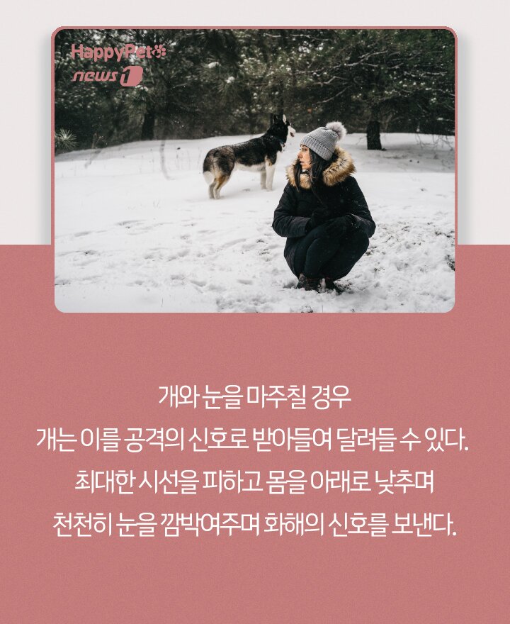 본문 이미지 - ⓒ 뉴스1