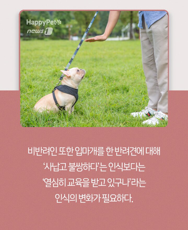 본문 이미지 - ⓒ 뉴스1
