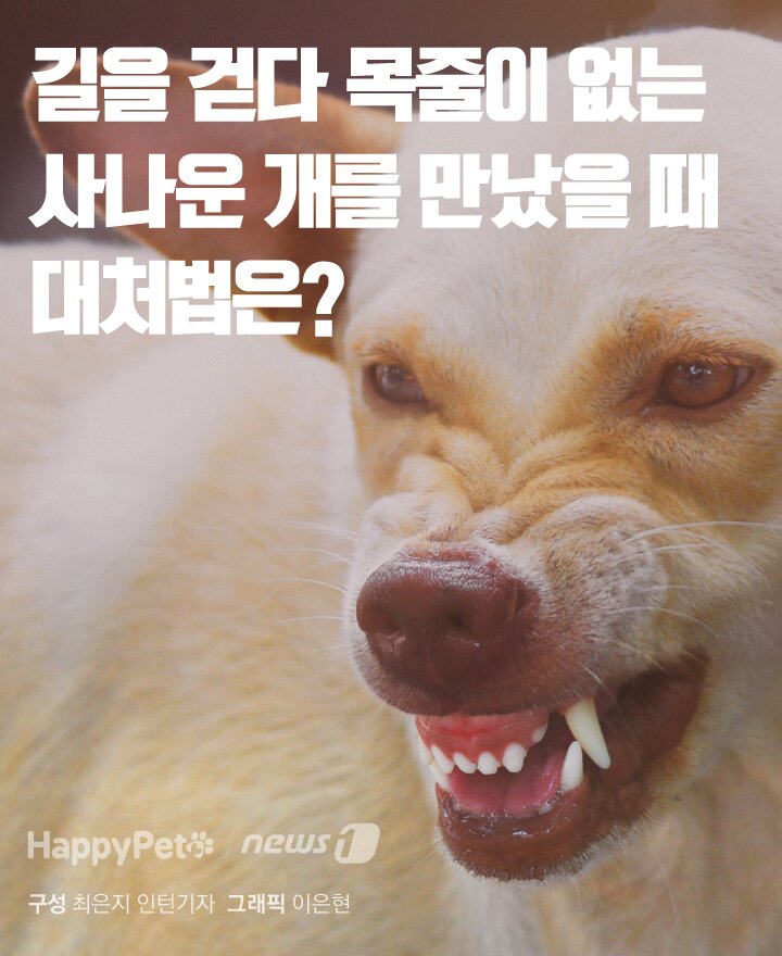 본문 이미지 - ⓒ 뉴스1