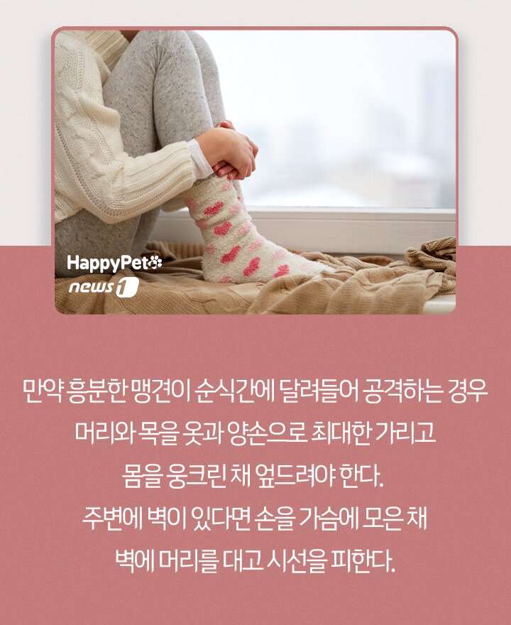 본문 이미지 - ⓒ 뉴스1