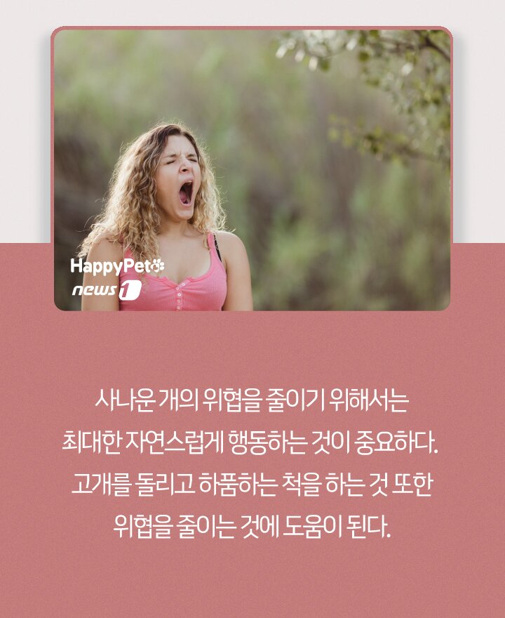 본문 이미지 - ⓒ 뉴스1
