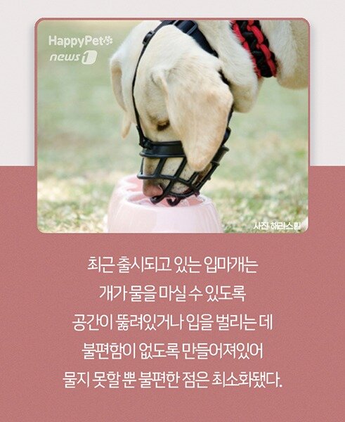 본문 이미지 - ⓒ 뉴스1