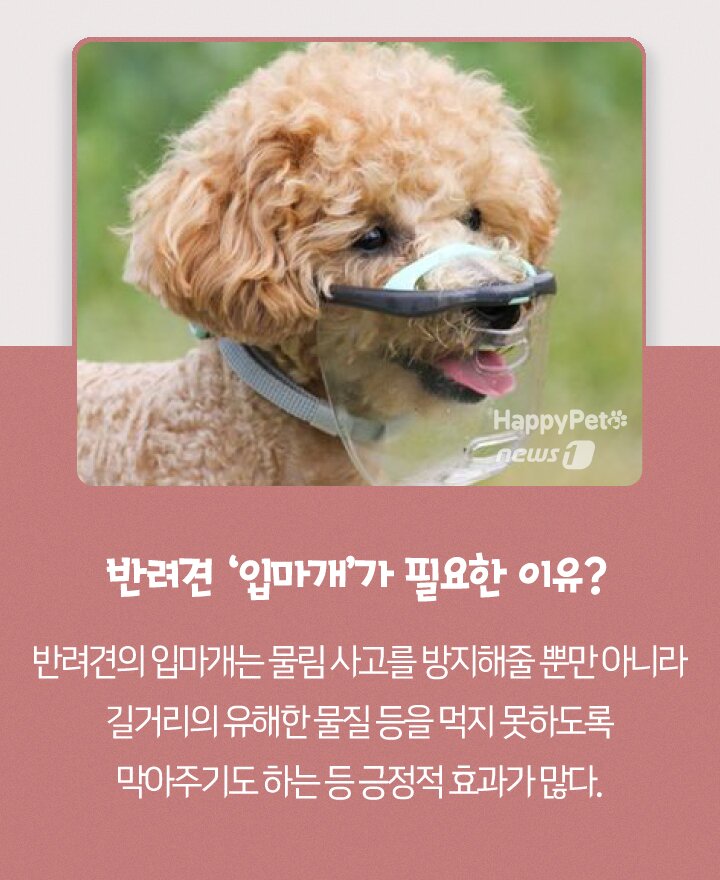본문 이미지 - ⓒ 뉴스1