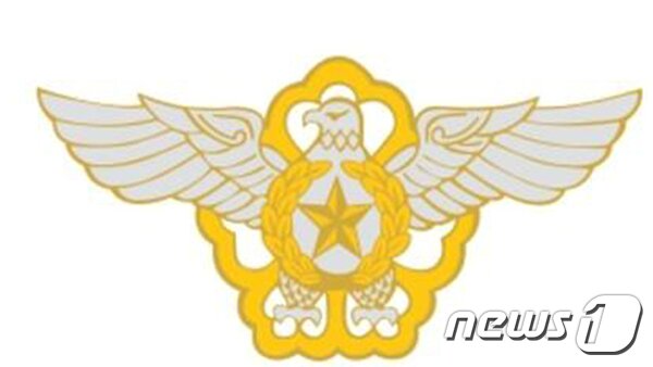 본문 이미지 - 공군 마크 ⓒ 뉴스1