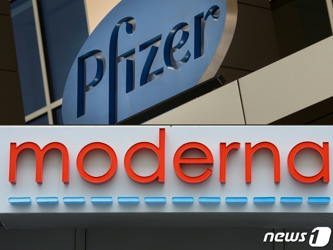 본문 이미지 - 화이자와 모더나 로고.  ⓒ AFP=뉴스1