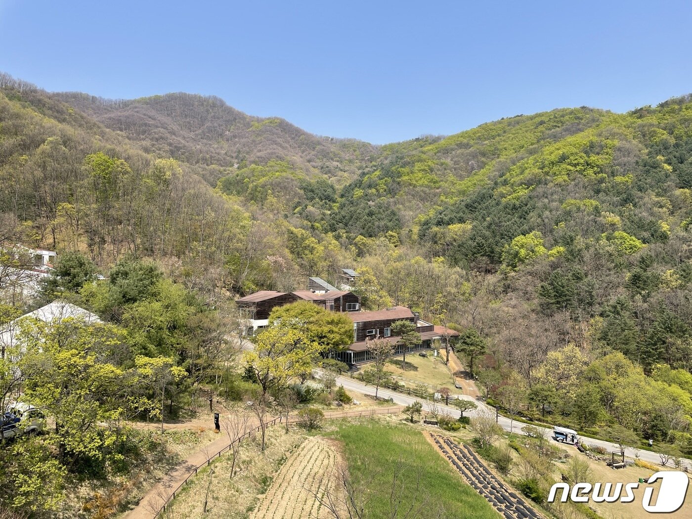 본문 이미지 - 홍천 힐리언스선마을의 전경 ⓒ 뉴스1