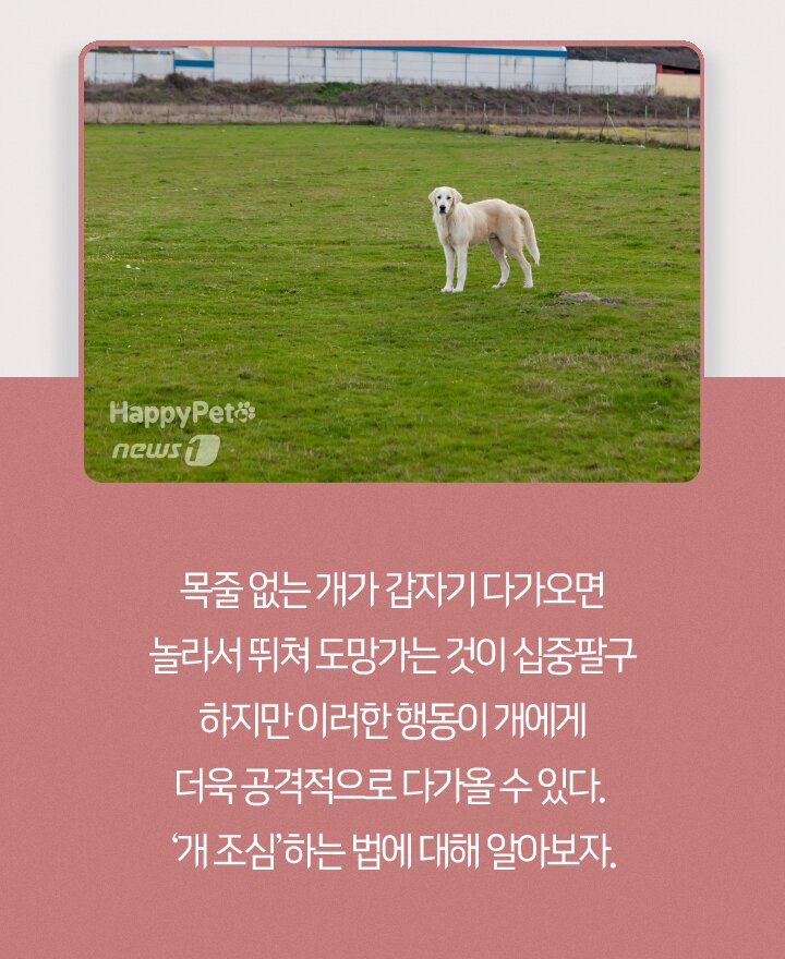 본문 이미지 - ⓒ 뉴스1