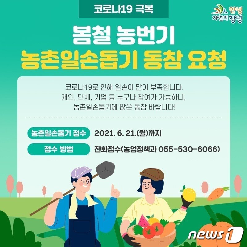 본문 이미지 - 농촌일손돕기 동참을 요청하는 창녕군 안내문 (창녕군 제작) ⓒ 뉴스1
