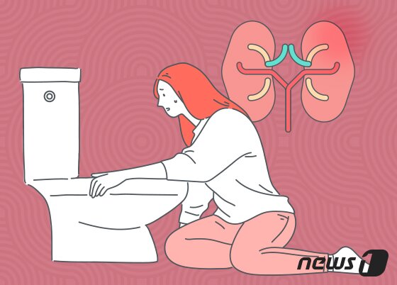 본문 이미지 - ⓒ News1 DB