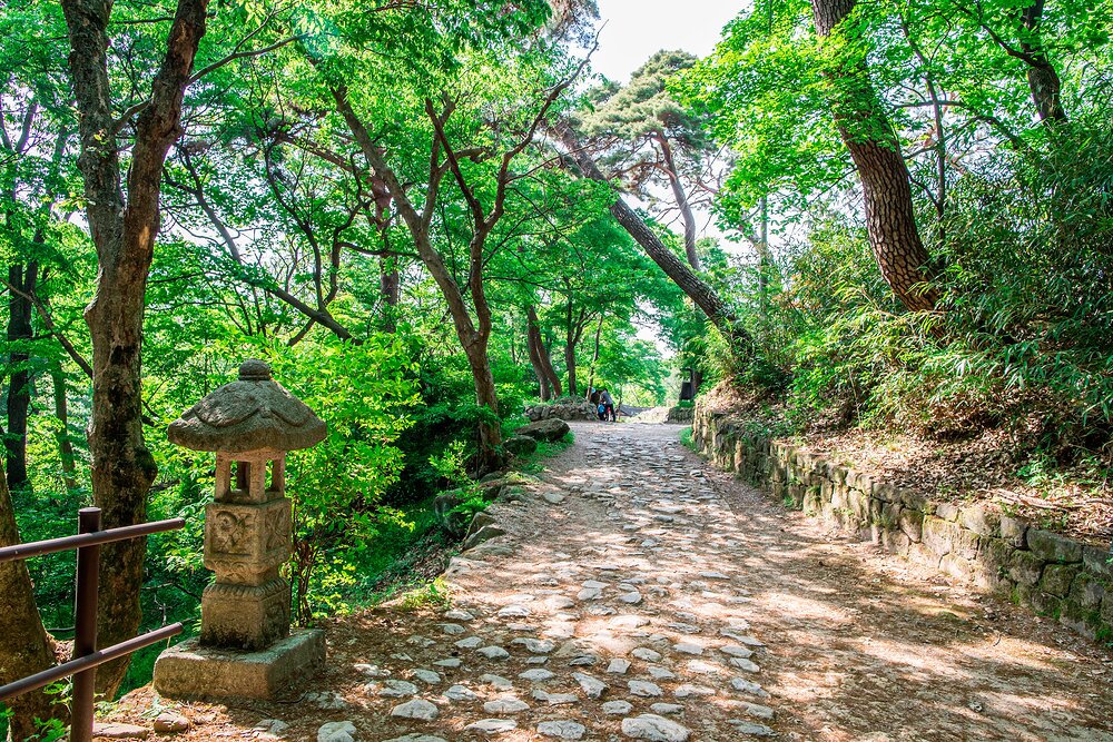 본문 이미지 - 계룡산 국립공원. 스카이스캐너 제공