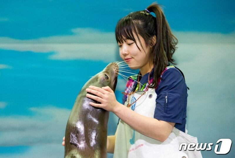 본문 이미지 - 바다사자와 교감하고 있는 장윤지 아쿠아리스트 (롯데월드 아쿠아리움 제공) ⓒ 뉴스1