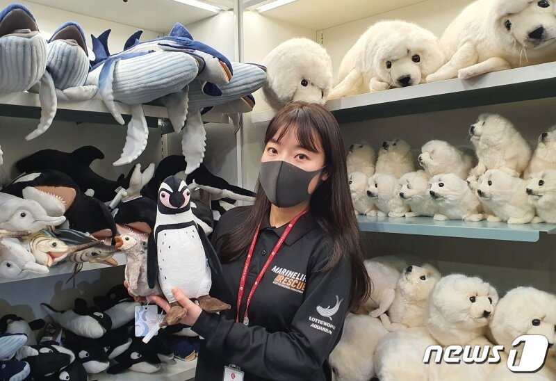 본문 이미지 - 롯데월드 아쿠아리움의 펭귄 인형을 들고 있는 장윤지 아쿠아리스트 ⓒ 뉴스1 최서윤 기자