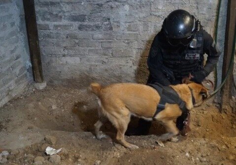 본문 이미지 - 앙드레스의 집 바닥에서는 지금까지 유골 3787개가 발견됐다. (더선 갈무리) ⓒ 뉴스1