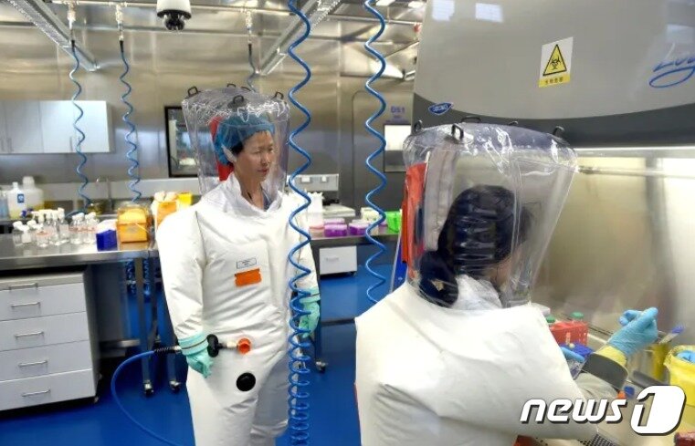 본문 이미지 - 왼쪽이 스정리다 - 우한바이러스연구소 홈피 갈무리