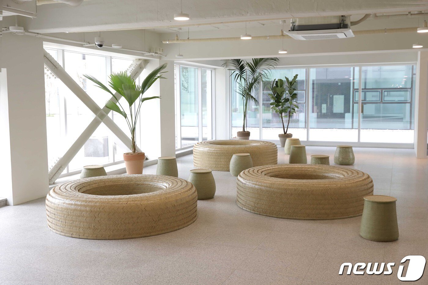 본문 이미지 - 한창균 작가의 'Hive&Remains'ⓒ 뉴스1