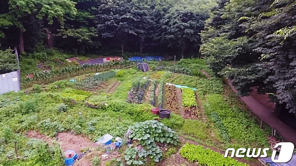본문 이미지 - 사진은 전 노동부 장관의 토지. 2021.6.17/뉴스1 ⓒ News1 정진욱 기자