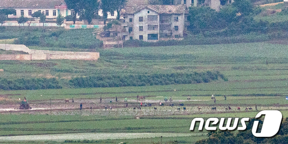 농사일 분주한 북한 주민들