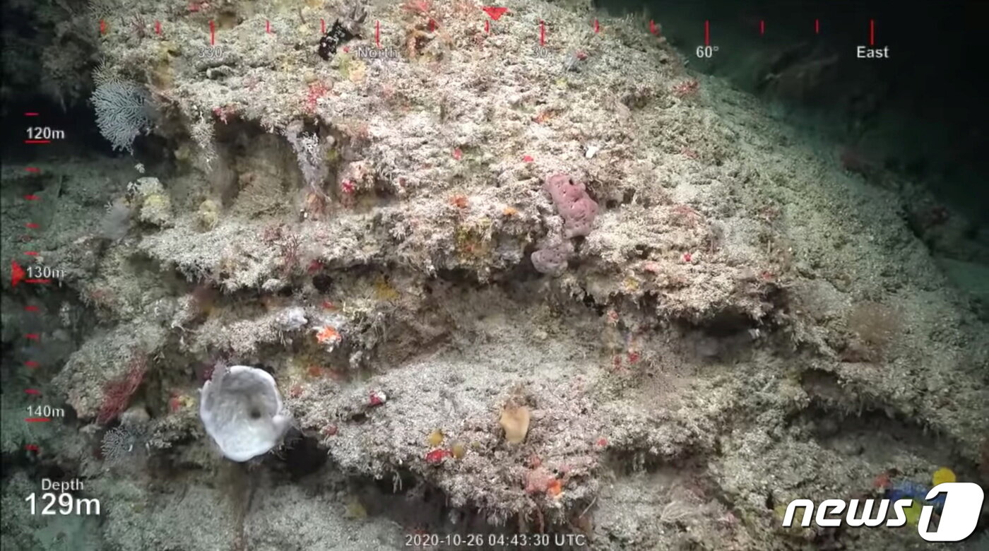 본문 이미지 - 백화 현상으로 폐사한 그레이트배리어리프. 백화 현상은 수온이 상승하면서 미세조류가 산호를 떠나면서 발생한다. ⓒ 로이터=뉴스1 ⓒ News1 정윤영 기자