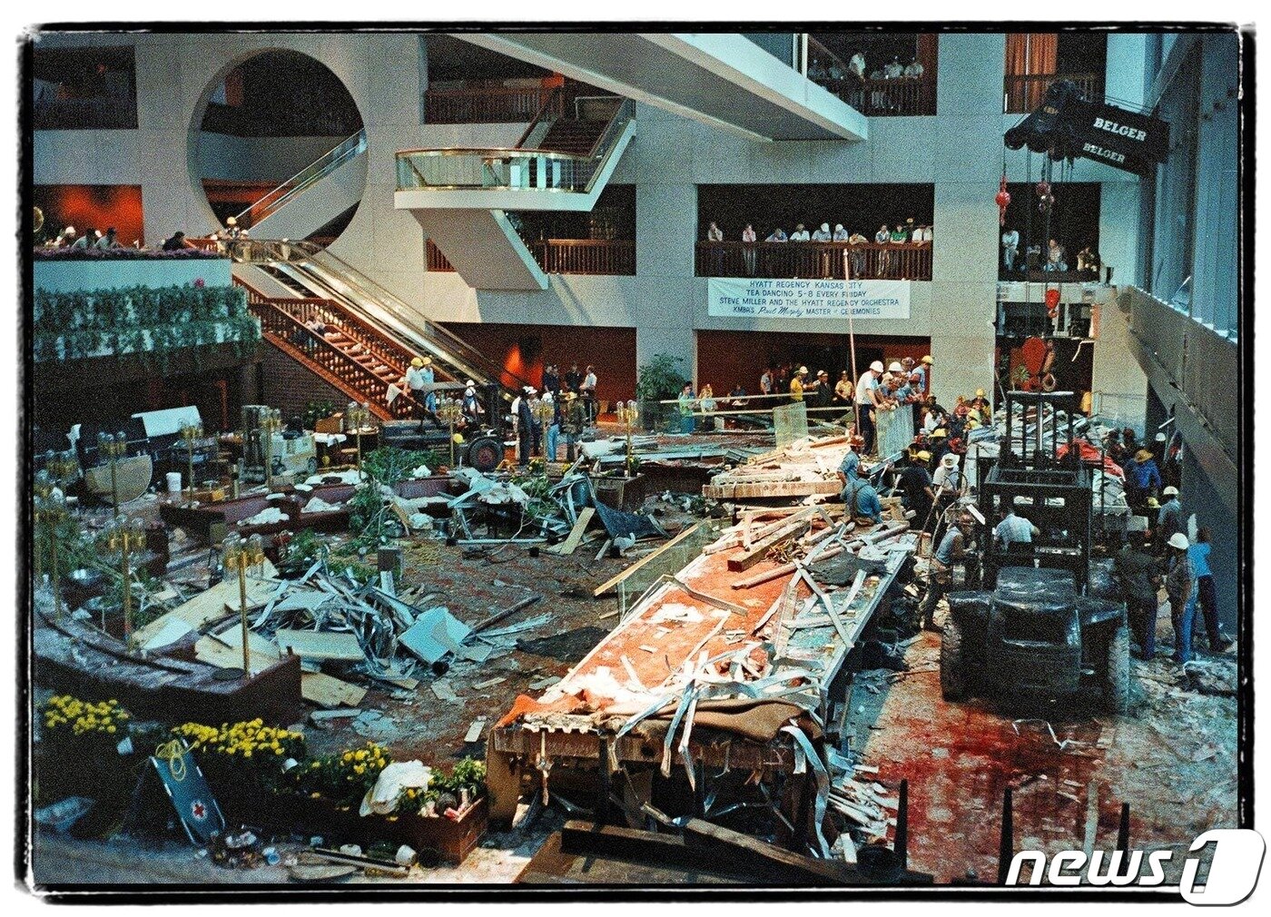 본문 이미지 - ⓒ 뉴스1 (레딧 갈무리)