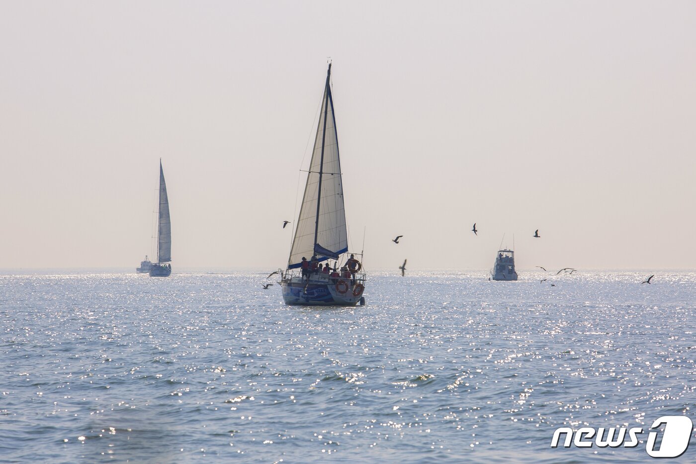 본문 이미지 - 화성 ‘전곡항 마리나’(경기관광공사 제공)/ⓒ 뉴스1