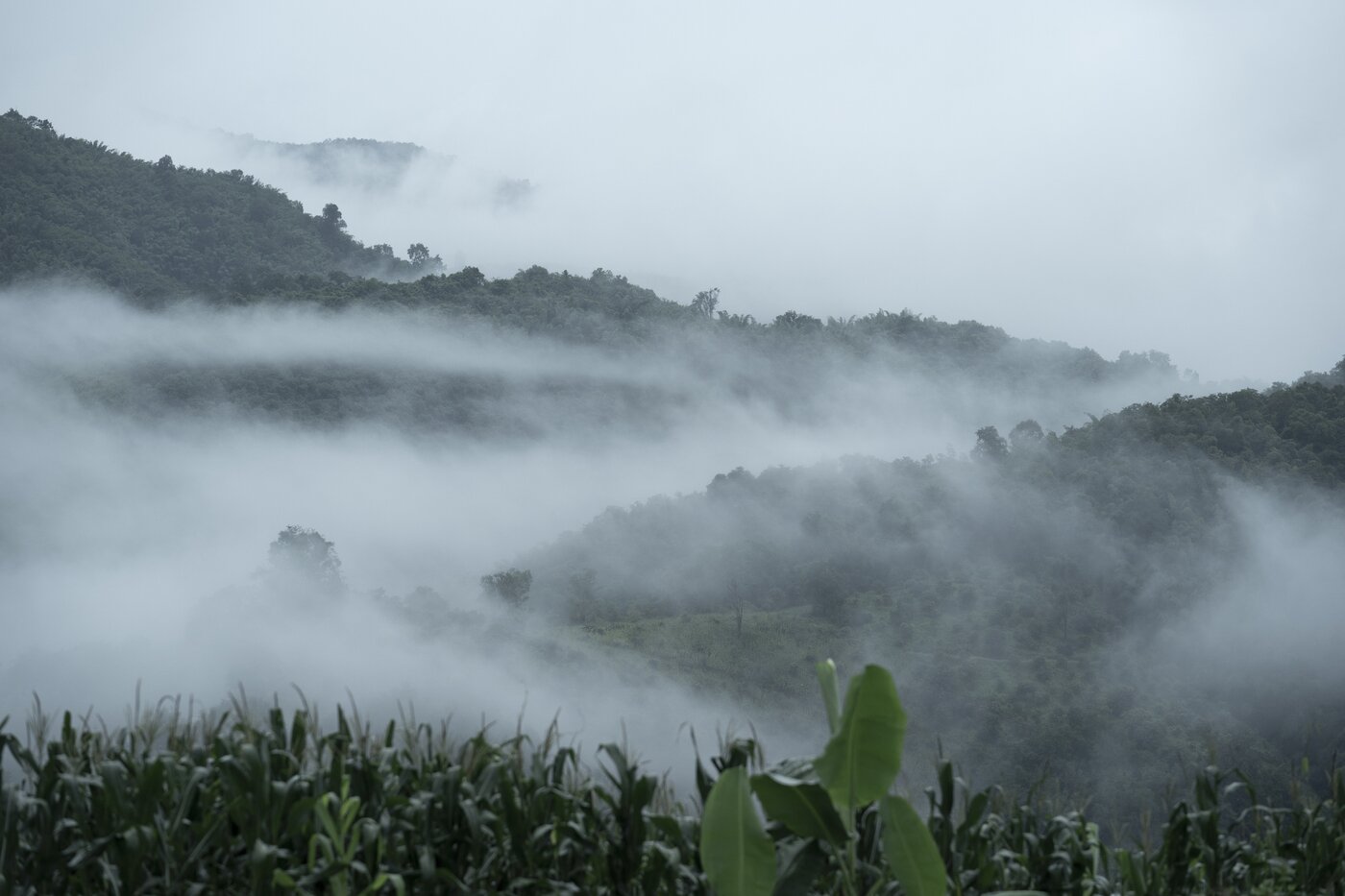 본문 이미지 - 랑종 스틸 ⓒ 뉴스1