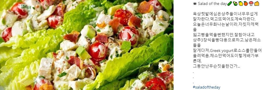 본문 이미지 - 이정우 디자이너 SNS 갈무리 ⓒ 뉴스1