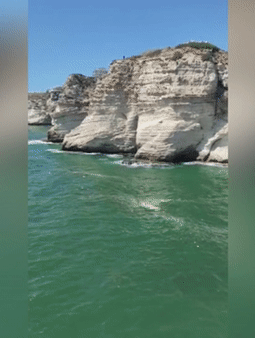 본문 이미지 - ⓒ 뉴스1