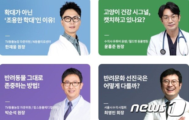 본문 이미지 - 한국동물병원협회와 서울시수의사회가 온라인 토크쇼인 '반려동물 건강 토크콘서트'를 오는 22일 개최한다. ⓒ 뉴스1